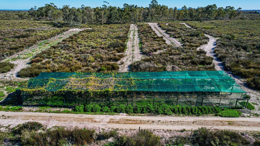 Commercial Property for Sale in Hartebeesfontein Western Cape